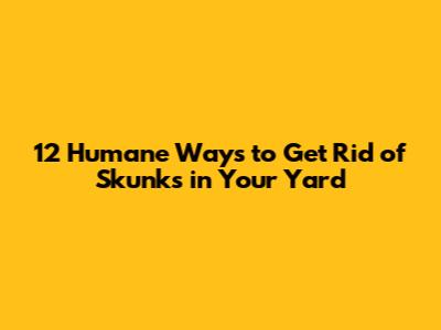 12 Humane Ways to Get Rid of Skunks in Your Yard