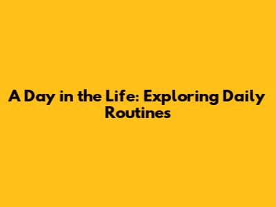 A Day in the Life: Exploring Daily Routines