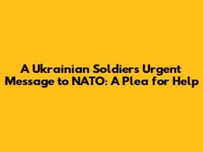A Ukrainian Soldier's Urgent Message to NATO: A Plea for Help