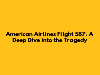 American Airlines Flight 587: A Deep Dive into the Tragedy