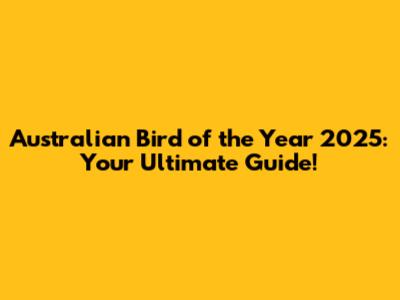 Australian Bird of the Year 2025: Your Ultimate Guide!