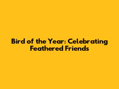 Bird of the Year: Celebrating Feathered Friends