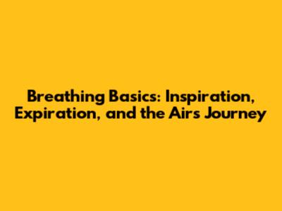Breathing Basics: Inspiration, Expiration, and the Air's Journey