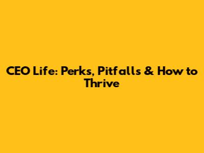 CEO Life: Perks, Pitfalls & How to Thrive
