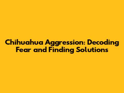 Chihuahua Aggression: Decoding Fear and Finding Solutions