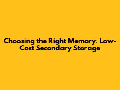 Choosing the Right Memory: Low-Cost Secondary Storage