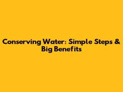 Conserving Water: Simple Steps & Big Benefits