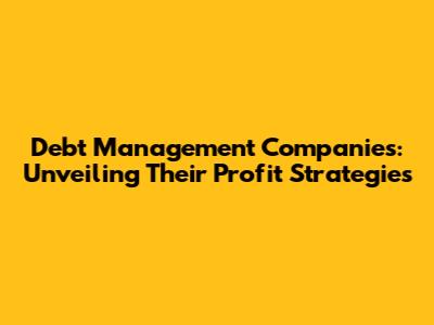 Debt Management Companies: Unveiling Their Profit Strategies