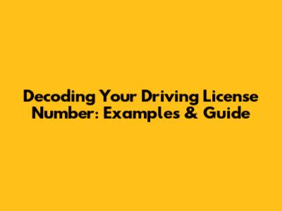 Decoding Your Driving License Number: Examples & Guide