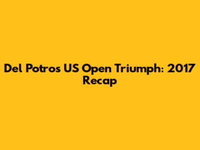 Del Potro's US Open Triumph: 2017 Recap