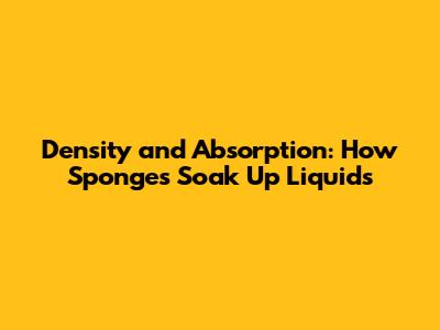 Density and Absorption: How Sponges Soak Up Liquids