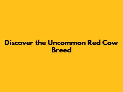 Discover the Uncommon Red Cow Breed