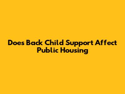 Does Back Child Support Affect Public Housing