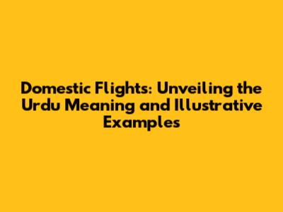 Domestic Flights: Unveiling the Urdu Meaning and Illustrative Examples