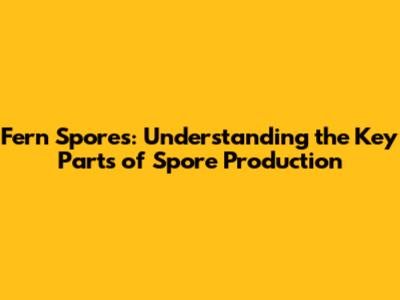 Fern Spores: Understanding the Key Parts of Spore Production