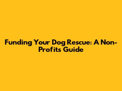 Funding Your Dog Rescue: A Non-Profit's Guide
