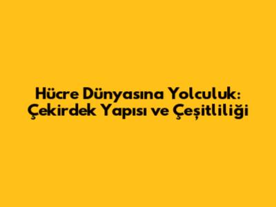Hücre Dünyasına Yolculuk: Çekirdek Yapısı ve Çeşitliliği