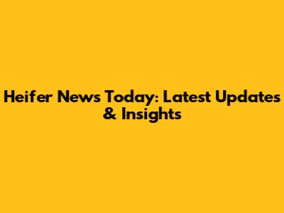 Heifer News Today: Latest Updates & Insights