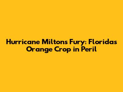 Hurricane Milton's Fury: Florida's Orange Crop in Peril