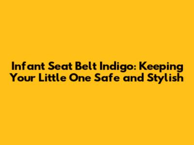Infant Seat Belt Indigo: Keeping Your Little One Safe and Stylish