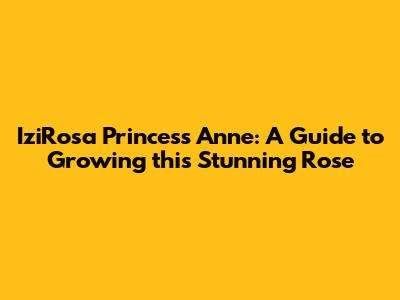 IziRosa 'Princess Anne': A Guide to Growing this Stunning Rose