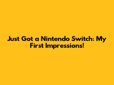 Just Got a Nintendo Switch: My First Impressions!