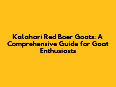 Kalahari Red Boer Goats: A Comprehensive Guide for Goat Enthusiasts