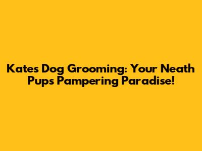Kate's Dog Grooming: Your Neath Pup's Pampering Paradise!