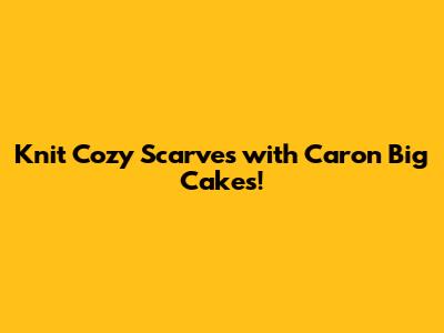 Knit Cozy Scarves with Caron Big Cakes!