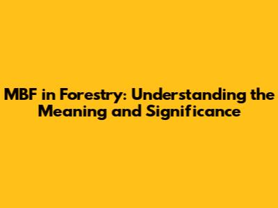MBF in Forestry: Understanding the Meaning and Significance