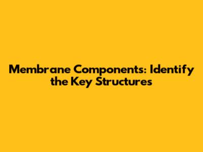 Membrane Components: Identify the Key Structures