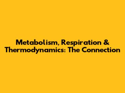 Metabolism, Respiration & Thermodynamics: The Connection