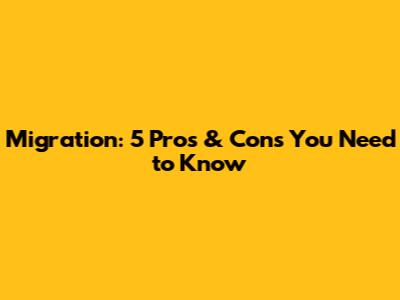 Migration: 5 Pros & Cons You Need to Know