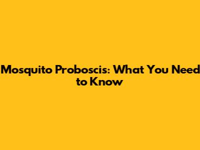 Mosquito Proboscis: What You Need to Know