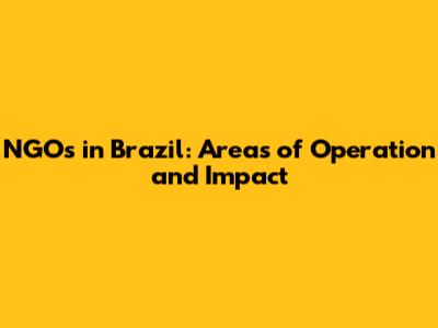 NGOs in Brazil: Areas of Operation and Impact