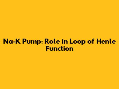 Na-K Pump: Role in Loop of Henle Function
