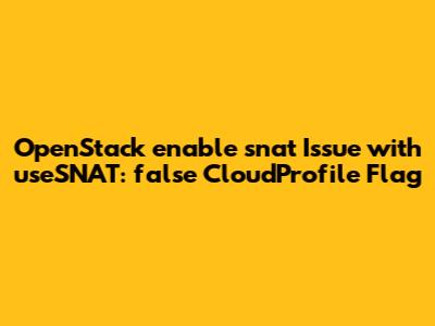 OpenStack `enable_snat` Issue with `useSNAT: false` CloudProfile Flag