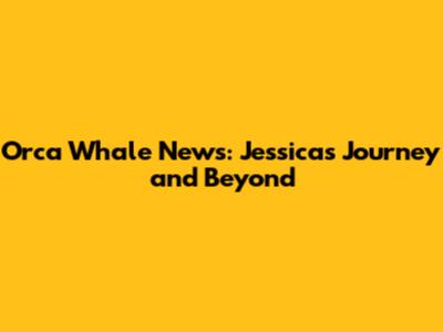 Orca Whale News: Jessica's Journey and Beyond