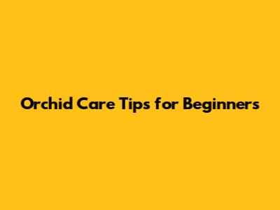 Orchid Care Tips for Beginners