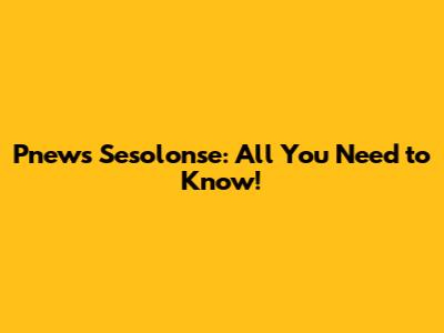Pnews Sesolonse: All You Need to Know!