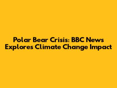 Polar Bear Crisis: BBC News Explores Climate Change Impact