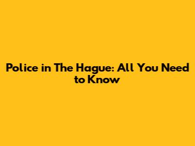 Police in The Hague: All You Need to Know