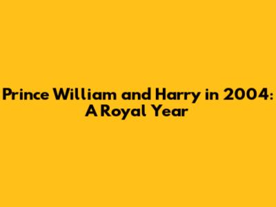 Prince William and Harry in 2004: A Royal Year