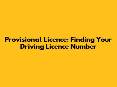 Provisional Licence: Finding Your Driving Licence Number