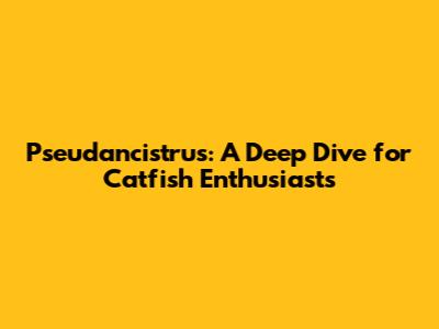 Pseudancistrus: A Deep Dive for Catfish Enthusiasts