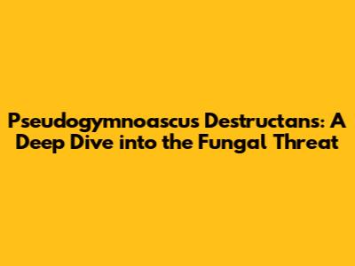 Pseudogymnoascus Destructans: A Deep Dive into the Fungal Threat