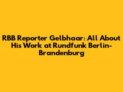 RBB Reporter Gelbhaar: All About His Work at Rundfunk Berlin-Brandenburg