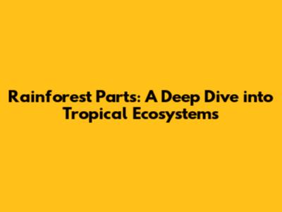 Rainforest Parts: A Deep Dive into Tropical Ecosystems
