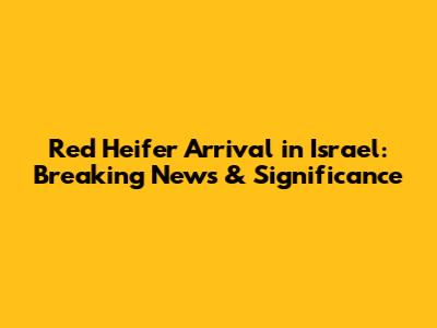 Red Heifer Arrival in Israel: Breaking News & Significance