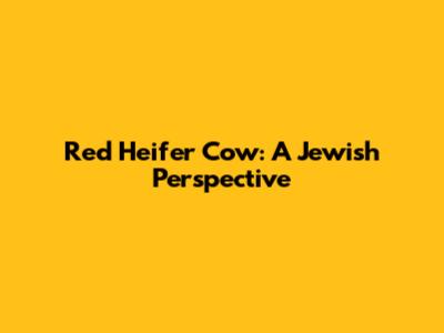 Red Heifer Cow: A Jewish Perspective